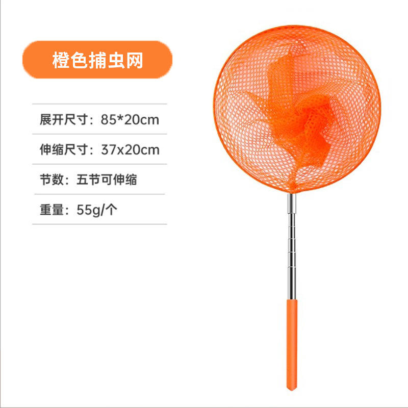 [แผ่นข้อมูลสำคัญ] ส้ม