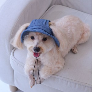 Chapeau d'été pour animaux de compagnie de couleur unie <span class=keywords><strong>Protection</strong></span> solaire Camping en plein air Chapeau respirant réglable doux pour chats chiens - Product Image 1