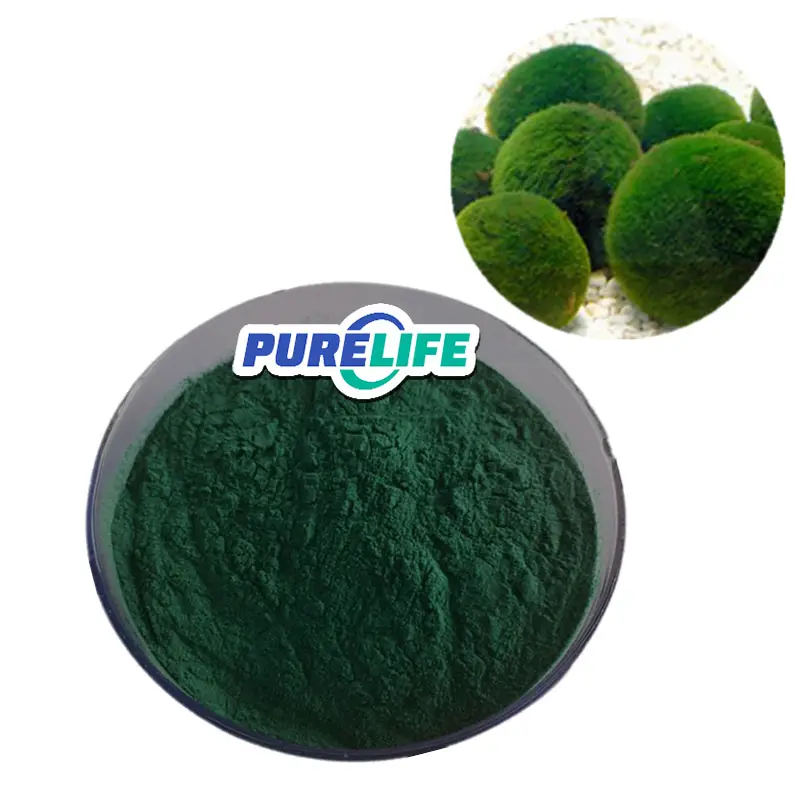 Extrait de chlorella de spiruline soluble dans l'eau organique vert Oem naturel pur de marque privée