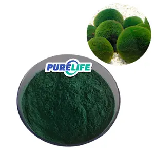 Extracto de Chlorella espirulina soluble en agua verde orgánico OEM natural puro de etiqueta privada