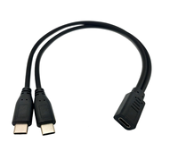 1 pied USB Type C femelle vers 2 double USB Type C mâle Y Splitter Extension Câble de charge (uniquement pour la charge)