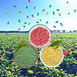 <span class=keywords><strong>Engrais</strong></span> NPK haute efficacité agricole soluble dans l'eau sacs de 25kg - Product Image 1