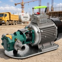 WCB 100 Gusseisen-Getriebeölpumpe 100 LPM 0,3 MPa 1,1 KW Kohlenstoffstahl-Getriebe Niedrigviskose Öltransferpumpe 2800 U/min Mit Motor