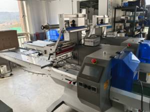 Machine d'emballage d'oreiller horizontale automatique <span class=keywords><strong>de</strong></span> bloc <span class=keywords><strong>de</strong></span> nettoyage <span class=keywords><strong>de</strong></span> <span class=keywords><strong>toilette</strong></span> serviette <span class=keywords><strong>de</strong></span> bain savon bonnet <span class=keywords><strong>de</strong></span> douche gants laine d'acier - Product Image 6