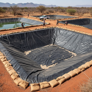 Géomembrane robuste imperméable en HDPE/LDPE pour revêtement de barrage et bassin de pisciculture, très demandée en Afrique - Product Image 2