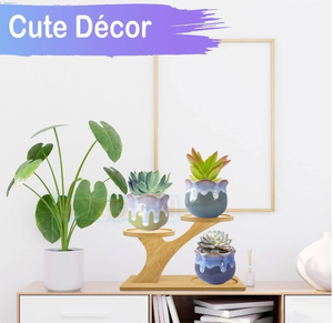 Soporte para plantas suculentas <span class=keywords><strong>de</strong></span> escritorio <span class=keywords><strong>de</strong></span> <span class=keywords><strong>madera</strong></span> <span class=keywords><strong>de</strong></span> bambú <span class=keywords><strong>de</strong></span> 3 capas, soporte <span class=keywords><strong>de</strong></span> exhibición para plantas <span class=keywords><strong>de</strong></span> interior pequeñas y bonitas - Product Image 4