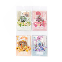Ensemble de papiers vintage pour scrapbooking avec fleurs pressées, pack d'égéreries botaniques, plantes et motifs floraux pour journalisation et scrapbooking décoratif