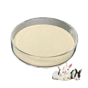 Alimentation lapin probiotiques saccharomyces cerevisiae industrie