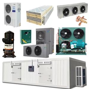 Chambre froide et congélateur à économie d'énergie pour légumes et fruits, viande de bœuf, concombre de mer, refroidisseur de légumes - Product Image 6