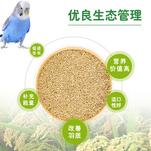 Nourriture pour oiseaux, millet d'île de canaris avec coque pour perruches, calopsittes et pivoines, nutrition spéciale, contenant en plastique réutilisable - Product Image 2