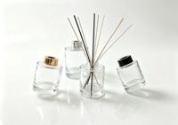 Bouteille diffuseur de parfum en verre transparent minimaliste cylindrique, best-seller, 100ml, 180ml, 220ml, 500ml, vide, pour arômes et parfums