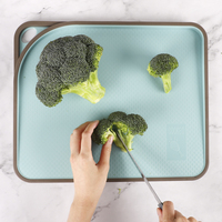 Tablas de Cortar de Plástico Ligeras y Económicas de Color Personalizado para Verduras y Frutas