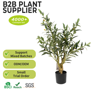 Mini <span class=keywords><strong>Olivier</strong></span> Artificiel Écologique en Pot de 80 cm (2 pieds) Style Soie avec Base Lourde pour Décoration de Table de Salle à Manger - Product Image 2