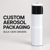 Bombe aérosol vide en aluminium personnalisée à marque privée pour laque capillaire, soins capillaires, cosmétiques, vente en gros, OEM