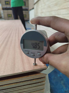 ราคาต่ำขายการออกแบบประตูเครื่องกดไม้วีเนียร์<span class=keywords><strong>ไม้</strong></span>บน<span class=keywords><strong>ไม้</strong></span>อัด Sapele - Product Image 6