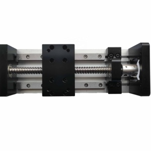 <span class=keywords><strong>Glissière</strong></span> de guidage linéaire à Double Rail robuste de haute qualité 150 Module de vis à billes croisées de précision élargie - Product Image 6