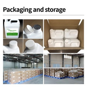 Chất lượng cao màu xanh lá cây Táo hương vị thực phẩm cấp hương vị tươi táo hương thơm được sử dụng cho Ice Cream nước giải khát bánh vv - Product Image 4