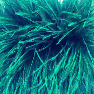 <span class=keywords><strong>Plumas</strong></span> <span class=keywords><strong>de</strong></span> Avestruz al por Mayor, <span class=keywords><strong>Flecos</strong></span> <span class=keywords><strong>de</strong></span> <span class=keywords><strong>Plumas</strong></span> <span class=keywords><strong>de</strong></span> Avestruz <span class=keywords><strong>de</strong></span> 8-10 cm para Disfraces <span class=keywords><strong>de</strong></span> Carnaval, Decoración <span class=keywords><strong>de</strong></span> Sombreros, Manualidades - Product Image 5