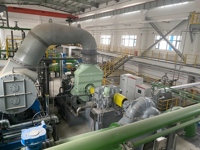 Groupe électrogène à turbine à vapeur sur mesure pour la production d'électricité industrielle et l'utilisation de l'énergie vapeur