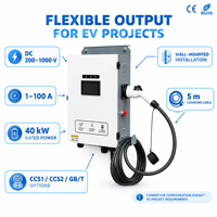 Station de recharge de flotte CCS2 40 kW à double connecteur OCPP 1.6J avec partage de puissance, IP54, pour dépôts routiers, EVSE, compteur d'énergie, facturation, WiFi 4G à distance, PV