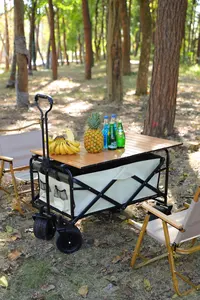 OEM Folding Utility Cart With Wheels Mini Portable Outdoor Camping Wagon Cart Manufacture