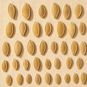 <span class=keywords><strong>Semi</strong></span> di Zucca Tostati Speziati Premium, Vendita all'Ingrosso, Snack Salutari - Product Image 5