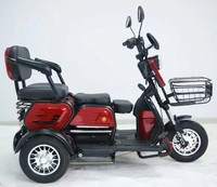 Vélo électrique à 3 roues en promotion, tricycle électrique pour adultes, 50 km/h, tricycle électrique pour personnes âgées, scooter de mobilité