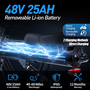 20Inch 1000W 48V Xe Đạp Điện Sẵn Sàng Cổ Phiếu Ebike Leo Núi Điện Leo Núi Fatbike Vtt Electrique Lai Xe Đạp - Product Image 5