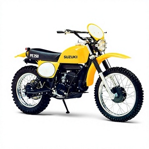 มอเตอร์ไซค์ใหม่เอี่ยมเกรดอุตสาหกรรม PE250-246cc ระบายความร้อนด้วยอากาศ สองจังหวะ สูบเดียว 2000W+ >80กม./ชม. OEM/ODM รับประกัน 3 ปี - Product Image 1