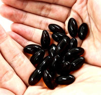 Capsules de Cannelle en Gélules Molles pour le Métabolisme, Extrait de Cannelle de Ceylan, 60 Gélules Molles, Huile MCT Naturelle, Complément Alimentaire Herbal