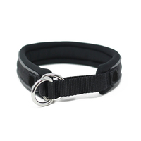 Collier pour chien personnalisé en gros, de luxe, de qualité supérieure, rembourré en mousse, réfléchissant, en nylon, à enfiler