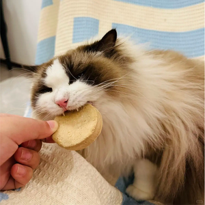 Snack Premium para Mascotas con Alto Contenido de Proteínas, Ranova, Carne Liofilizada de <span class=keywords><strong>Paloma</strong></span> y Conejo, para Gatos - Product Image 5