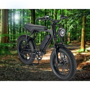 Vélo Hybride pour Adulte, <span class=keywords><strong>20</strong></span> <span class=keywords><strong>Pouces</strong></span>, Gros Pneu, 500/750/48V, Acier, Amovible, pour Adulte - Product Image 6