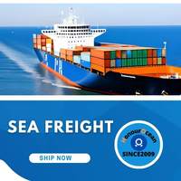 Agent de logistique de dropshipping et transitaire à Shenzhen, Chine, transitaire maritime DDP vers le Brésil