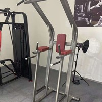 Machine de musculation verticale professionnelle pour exercices de flexion des genoux/dips, équipement de fitness pour salle de sport, directement de l'usine