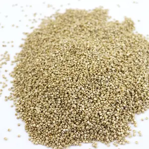 2023 Quinoa biologique de qualité supérieure Quinoa conventionnel de Chine