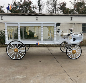 Carroza Fúnebre Eléctrica de Lujo con Adornos Clásicos y Ventanas Decorativas - Product Image 5