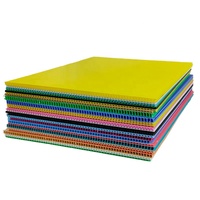 Feuille de plastique légère, imperméable et écologique en matériau PP recyclé ondulé, avec services d'impression et de découpe