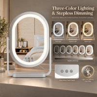 Miroir de maquillage ovale à LED avec éclairage, à intensité variable en continu, adaptateur 12V, cadre en fer, pour table, fourni par l'usine