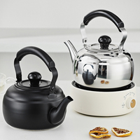 Bouilloire Classique Épaisse en Acier Inoxydable Durable pour Restaurant, Compatible Gaz et Induction, Noire, avec Couvercle, pour Extérieur