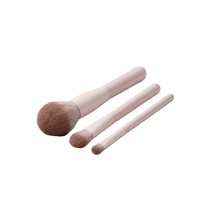 Ensemble de 13 pinceaux de maquillage Taoyao avec poils synthétiques et manche en plastique, pinceaux pour les yeux, le nez et les joues, kit complet pour les fards à paupières