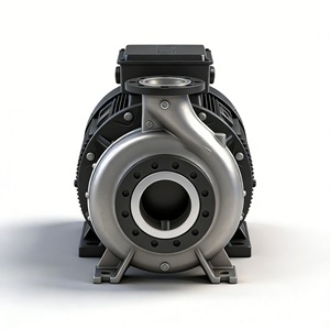 Pompe à eau industrielle Nbg à aspiration horizontale, corps en fonte d'acier inoxydable 304, régulation par valve - Product Image 1
