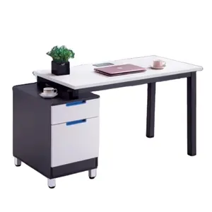 Q120 Modern Minimalist Standing Desk Computer Writing Desk With Drawers Office Furniture Panel Collection
