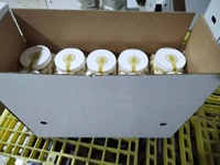 China Witte Gepelde Knoflook Verse Nieuwe Oogst Topkwaliteit Exportkwaliteit Groothandelsprijs Chinese Knoflookteentjes