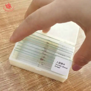 Diapositivas de histología humana Frotis de sangre humana de alta educación Recursos de enseñanza de vidrio transparente Diapositivas de microscopio preparadas con tejido humano - Product Image 4