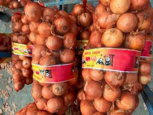 <span class=keywords><strong>2025</strong></span> cây trồng mới của sinofarm thương hiệu tươi hành tây màu đỏ và màu vàng hành tây trắng giá mỗi tấn tại Trung Quốc từ Trung Quốc hạt giống Hành tây - Product Image 2