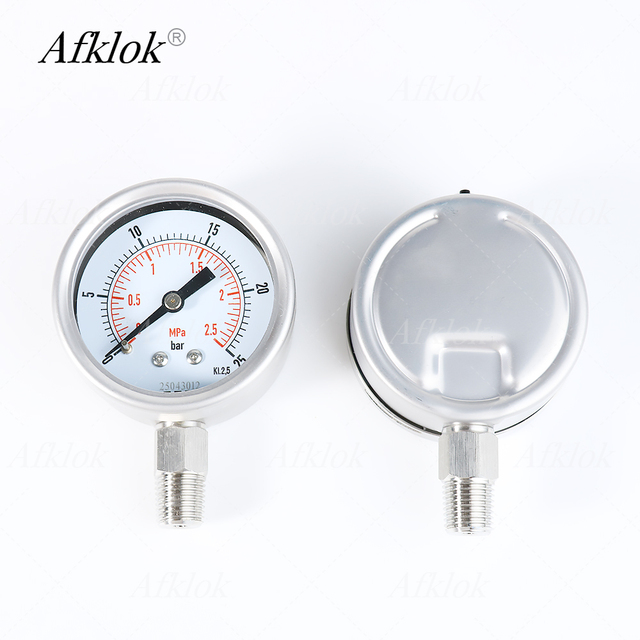 Industrial Grade Dual Scale Pressure Gauge Radial Connection 0-25 bar / 0-2.5 MPa