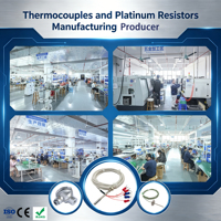Waterproof Threaded RTD Thermocouple Sensor OEM ODM Custom Stainless Steel PT100 PT1000 3-Wire with Thermowell Tri-Clamp