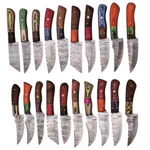 Rajput <b>Knives</b> Handcrafted Industrial Grade Damascus Steel Fixed Blade Hunter/Camping <b>Knife</b> Wood <b>Handle</b> Clip Point 20cm 3-Year - Product Image 5