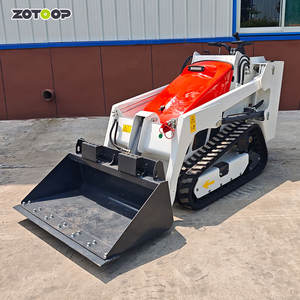 رخيصة الثمن آلة واحدة في الغالب عجلة/الزاحف <span class=keywords><strong>Skid</strong></span> الديزل الصغيرة رافعات منزلقة - Product Image 2